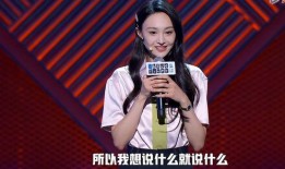 刘晶爆料录音视频播放在线观看,揭秘事件背后真相