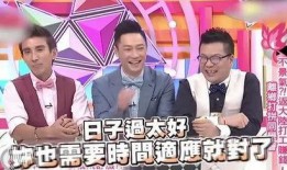 娱乐圈内地爆料,揭秘明星背后的真相与争议