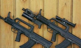 30元升级枪最新爆料,性能大提升，性价比再创新高！